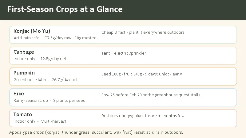 Doloc Town first-season crops — konjac, cabbage, pumpkin, rice, tomato with weather requirements and profit