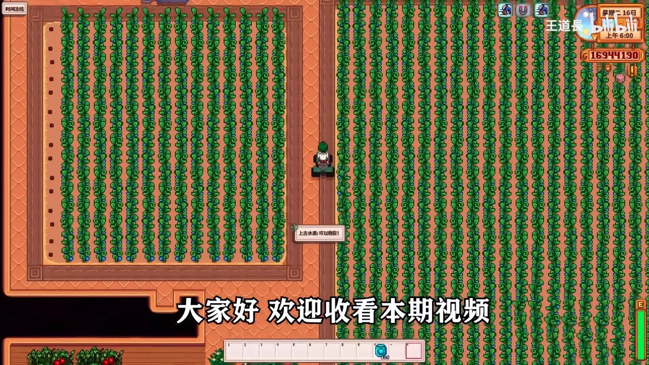 【星露谷物语】新手攻略——最好的农作物'上古果' 截图 1