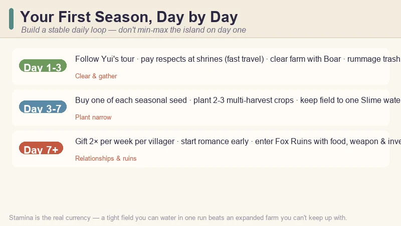 Tales of Seikyu first-season route — Day 1-3 clear and gather, Day 3-7 plant narrow and unlock fishing, Day 7+ start gifting for romance