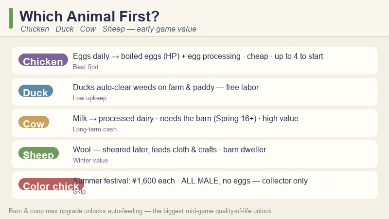 Village in the Shade animal comparison — chicken vs duck vs cow vs sheep vs colour chick with early-game value ratings