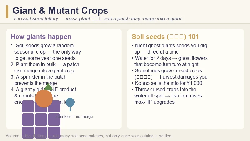 Village in the Shade giant crop guide — how soil seeds trigger giant crops, how a sprinkler prevents them, and where to find soil seeds at night
